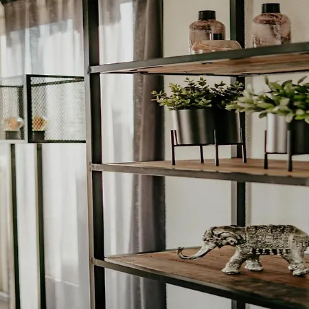 Vakantiehuis House By Uitgeestermeer With Garden *