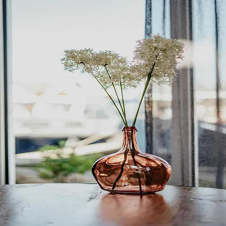 House By Uitgeestermeer With Garden Vakantiehuis